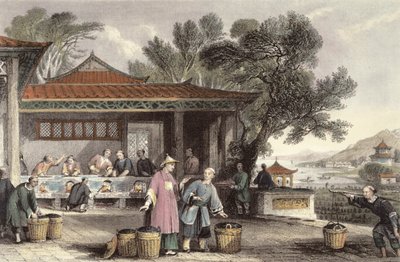 The Culture and Preparation of Tea, from 